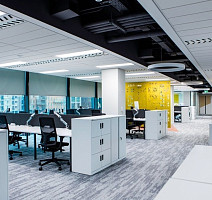 Art Style Коллекция Shared Path Shared Path 924 фото 4 | FLOORDEALER